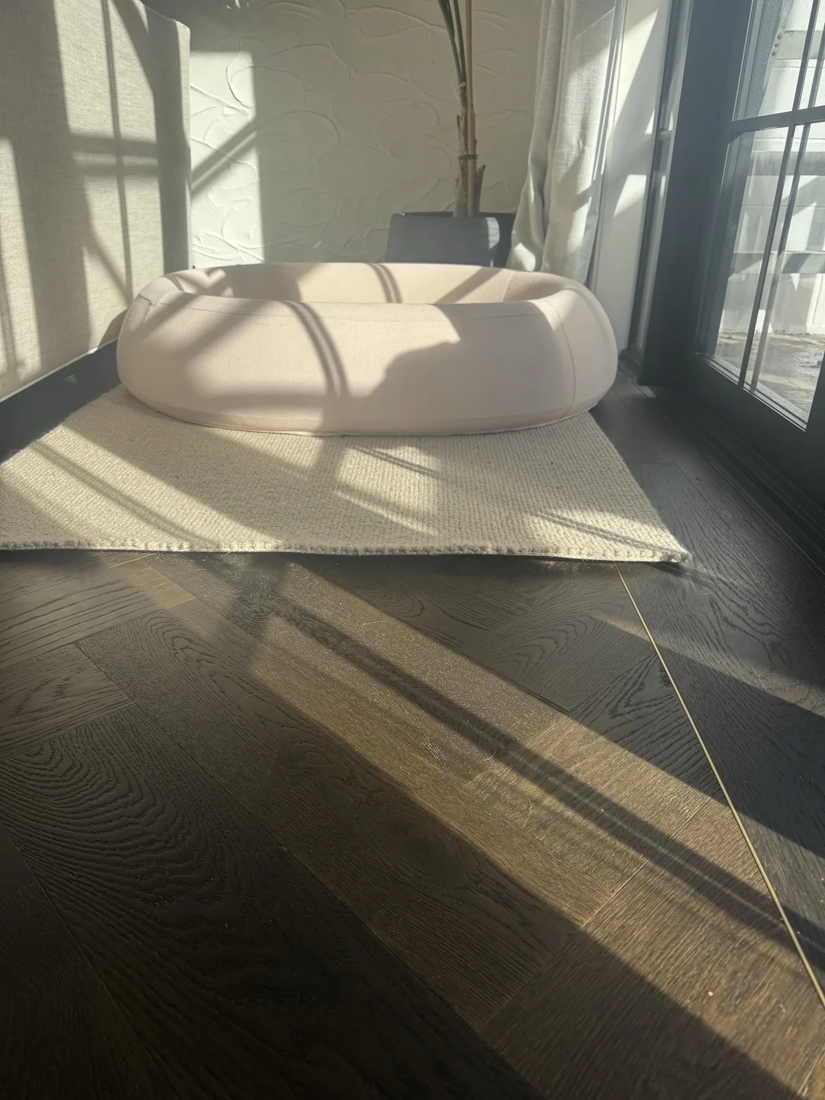 Afternoon light falling across the finished Slate Grey floor at Kitchener Road, Milford